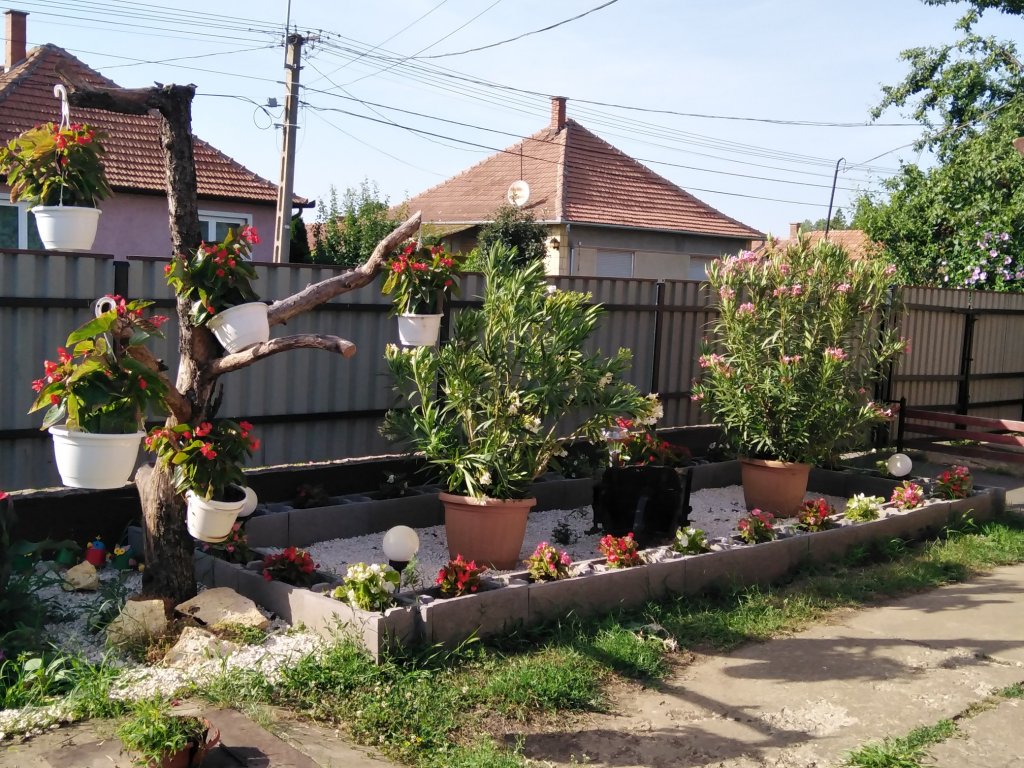 Géczi Bernadett kertje 03